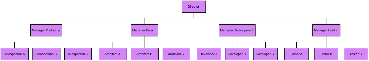 Organization Chart Example Functional Organizational Template Visual