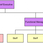 Matrix Organizational Template