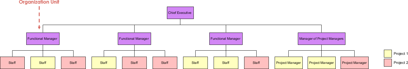 matrix organizational structure