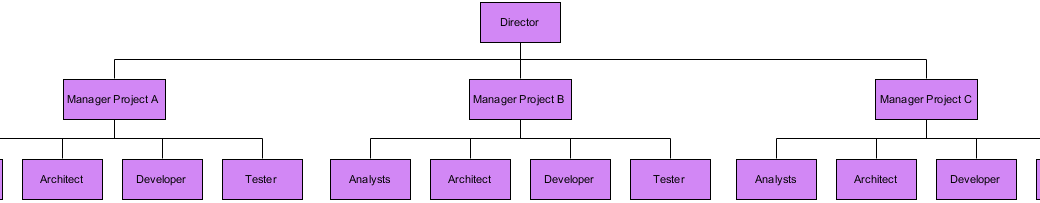 Project-based Organizational Template