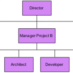Project-based Organizational Template
