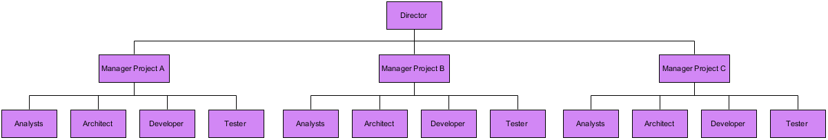 Organization Chart Example: Project-based Organizational Template ...