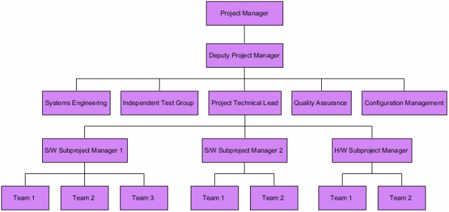 Organization Chart Example: Project Team - Visual Paradigm Community Circle