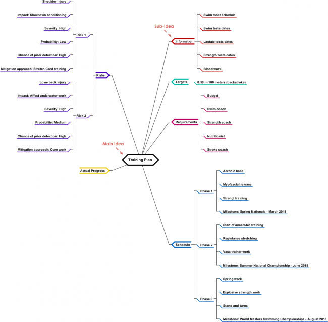 Mind Map Diagrams Example Training Plan for Swimming Visual Paradigm