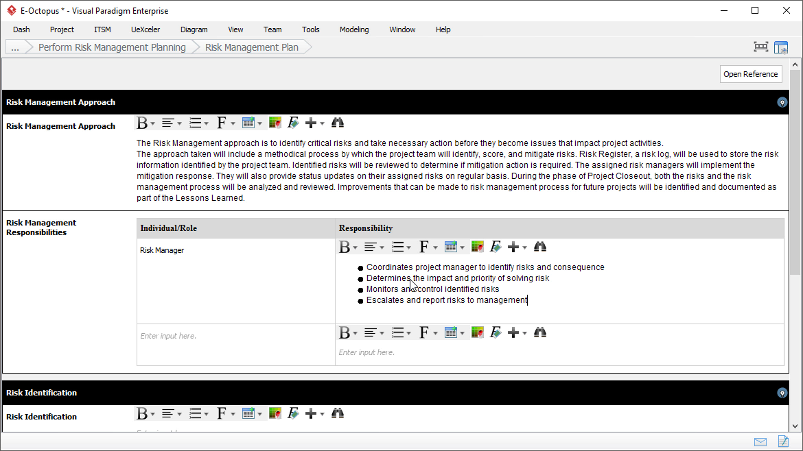 Risk Management Plan